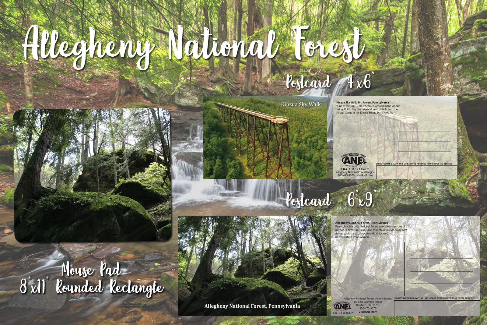 Allegheny National Forest – Pennsylvania